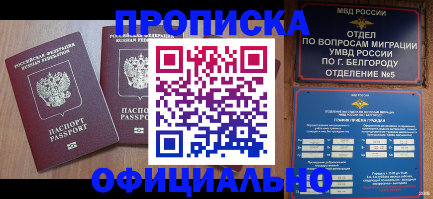 найти адрес прописки в Камышине
