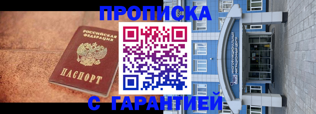 где прописаться в Камышине